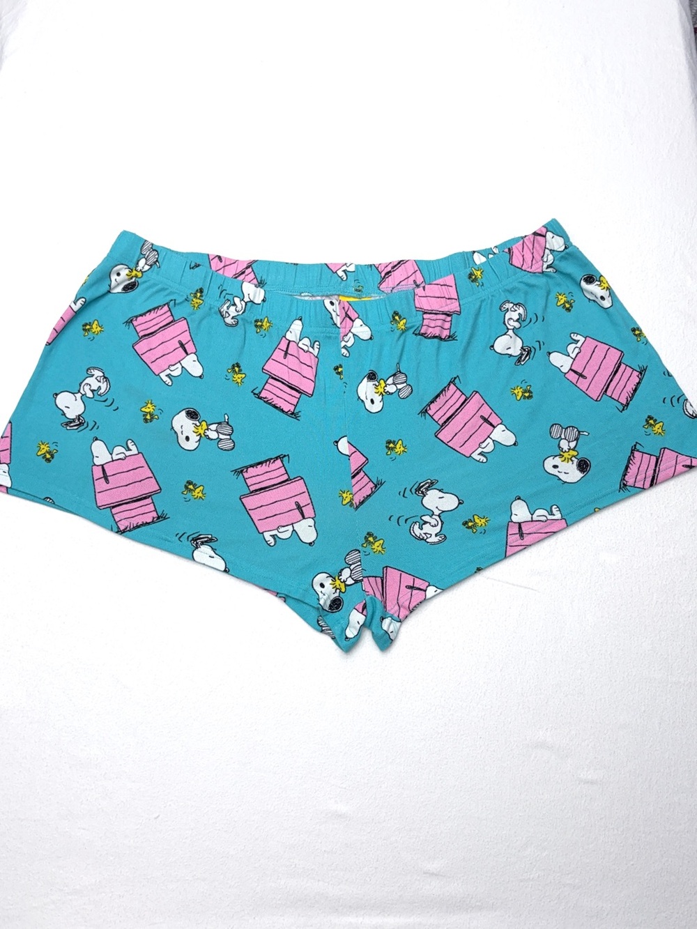 Peanuts Snoopy Sleep Shorts Women’s 2XL Teal Lounge Pajama Bottoms Woodstock